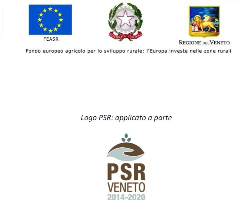 Qualificazione dei tratti del “El Senteer de Mess” ricadenti nel territorio comunale